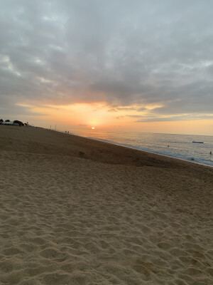 Berenice is looking for a Room / Apartment / Rental Property in Arnhem