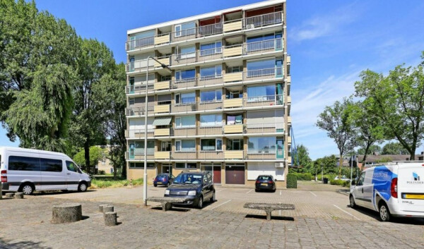 Wildenborglaan