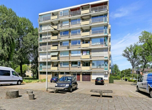Wildenborglaan